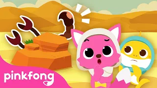 Who is this? | Guess the Animal in the Desert | Animal Exploration Veo Veo | Pinkfong Song & Story