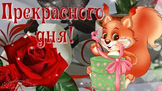 ☕️ Доброе утро! 🌸 Прекрасного дня! Красивая песня пожелание. Музыкальная видео открытка.