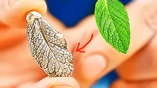 TURNED THE LEAF INTO A REAL SILVER!