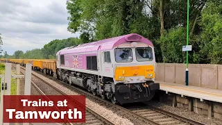 Trains at Tamworth - 28/06/23