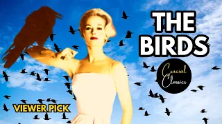 The Birds 1963, Tippi Hedren, Rod Taylor, Jessica Tandy, Alfred Hitchcock, full movie reaction