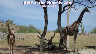 JDRF at the Phoenix Zoo! - April 13, 2008