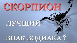 СКОРПИОН ЛУЧШИЙ ЗНАК ЗОДИАКА