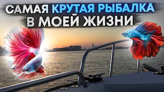 самая крутая рыбалка в моей жизни.