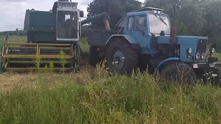 Все буде Україна 🇺🇦 Жнива 2022. Молотимо пшеницю 🌾🚜. Комбайн VOLVO 830s