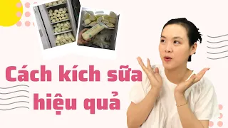 Cách Kích Sữa Hiệu Quả Để Có 1500ml Sữa Mỗi Ngày