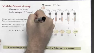 Dilutions - Part 3 of 4 (Calculating Colony Forming Units/ml)