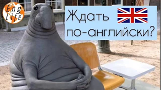 Wait, await, expect, look forward to - в чём разница? #english #englifetv