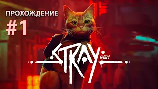 STRAY: Прохождение [#1]