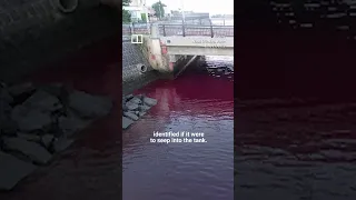 IN A MINUTE: How did this river in Japan turn red? #shorts