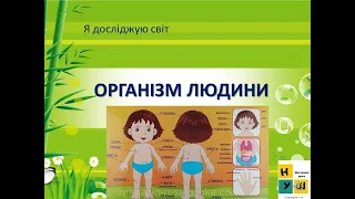 Урок 64. Організм людини .ЯДС 3 клас  за підручником І.Жаркової