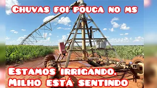 ✅ PIVÔ DE IRRIGAÇÃO TRANSPORTÁVEL -  MATO GROSSO DO SUL /// VAI TER MUITAS PERCAS NO MILHO!🇧🇷🇧🇷