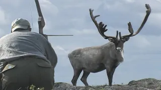 Bow Hunting Caribou with Mike and Guy Eastman (Eastmans’ Hunting Journals)