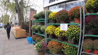 ⁴ᴷ⁶⁰ Walking NYC (Narrated) : Carroll Gardens to IKEA, Red Hook, Brooklyn (October 7, 2019)