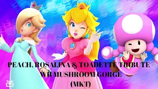 Peach, Rosalina & Toadette Tribute - Wii Mushroom Gorge (MKT)