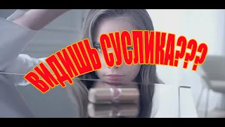 Best COUB compilation #9 ЗАСМЕЯЛСЯ - ПОДПИСАЛСЯ подборка видеоприколов