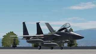 F-15C強い DCS World 1V4