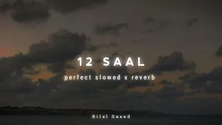 12 Saal - slowed x reverb | Bilal Saeed | @BELLE_sxr