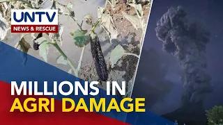 Mt. Kanlaon’s unrests cause nearly P1.5-M worth of damage in agriculture in Negros Occidental