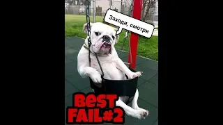 best funny moments and fails 2018