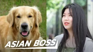 Do All Chinese Really Eat Dog Meat? (Street Interview) | ASIAN BOSS