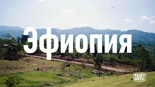 Эфиопия. Влог из поездки за хорошим кофе.