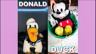 *1 HOUR*  DONALDDUCC TikTok Compilation #1 | Funny Reactions Donaldducc 2024