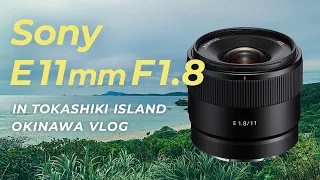 Sony E 11mm F1.8 | with α6400 | ソニーの超広角レンズで渡嘉敷島の自然を満喫 | 沖縄vlog | 新製品インプレッション
