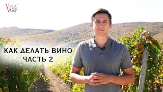 Как делать вино. Часть 2 (белое сухое вино)