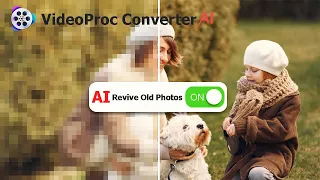 AI-Powered! Restore Your Old Photos into Crispy 4K in 1 Click