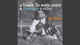 Anekdoty a vůbec...