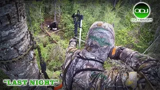 Incredible Canadian Archery Black Bear Hunt