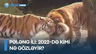 PƏLƏNG İLİ: 2022-də kimi nə gözləyir?