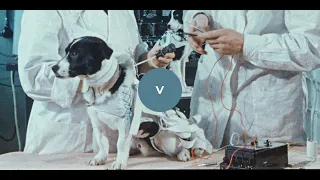 Visions OIFF 2020 Космічні пси / Space Dogs (trailer)