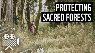 How forests are protected in Kenya | WWF