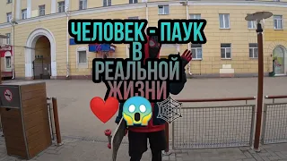 ПАУЧЬИ БУДНИ № 1 😱❤🕸