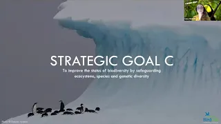 A Bird's-eye View on Global Targets for Saving Nature | BirdLife Conservation Webinar Series