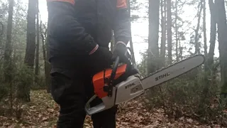 Пилю бензопилой Stihl MS 361.