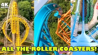 Riding ALL the Roller Coasters at Busch Gardens Williamsburg! 4K Front Seat Onride POV