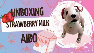 Unboxing Strawberry Milk aibo!