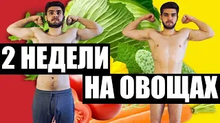 Я ем только овощи и фрукты. Что будет если не есть мясо 2 недели. Сыроедение