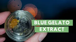 Blue Gelato Extract (Diamonds & Sauce) Review