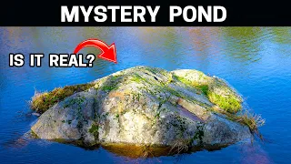 Saving a Dying Pond Reveals its Shocking Truth