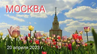 КОТоПрогулка по Москве: Воробьёвы горы, Парк Горького, Пушкин, Рахманинов и Любовь, 20 апреля 2023г.