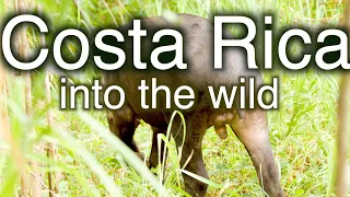 Costa Rica. Into The Wild. Travel Documentary