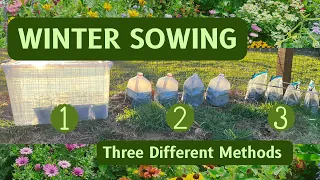 Winter Sowing THREE DIFFERENT WAYS - Can You Guess Which Method is the BEST??