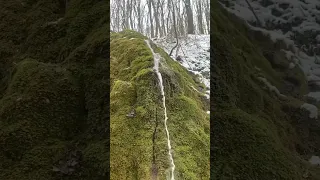 Джерело, водоспад, Жизномир. Крукова гора. Природа
