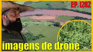 usei o drone para ver o estrago da chuva nas roças de milho