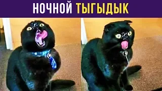 Приколы. Ночной ТЫГЫДЫК | Мемозг #85