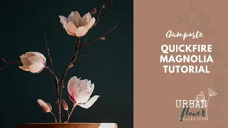 How to make a gumpaste / flower paste /sugar Magnolia branch - a speedy tutorial